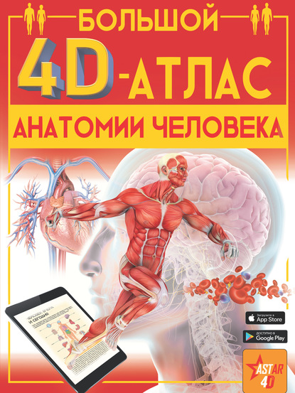 54029009-anna-spektor-bolshoy-4d-atlas-anatomii-cheloveka-54029009.jpg