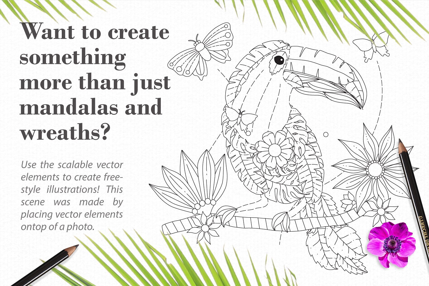 mandala-creator-toucan-illustration-coloringbook-.jpg